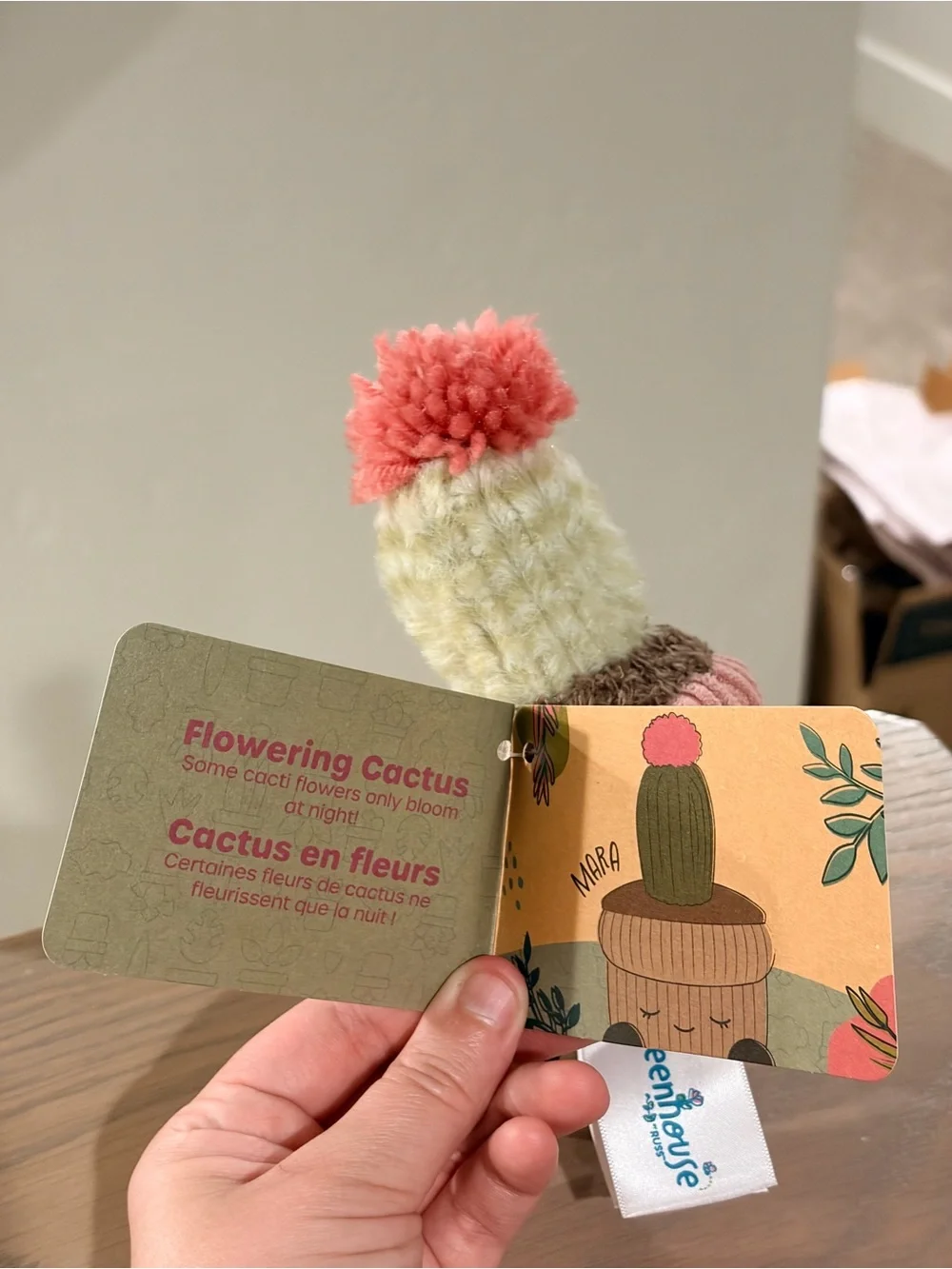 🌱 Greenhouse Russ Mara Flowering Cactus Mini Plush Potted Plant Corduroy 6” BNWT